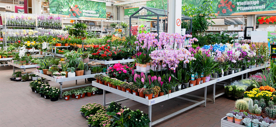 OBI Gartencenter Heilbronn-Schwabenhof