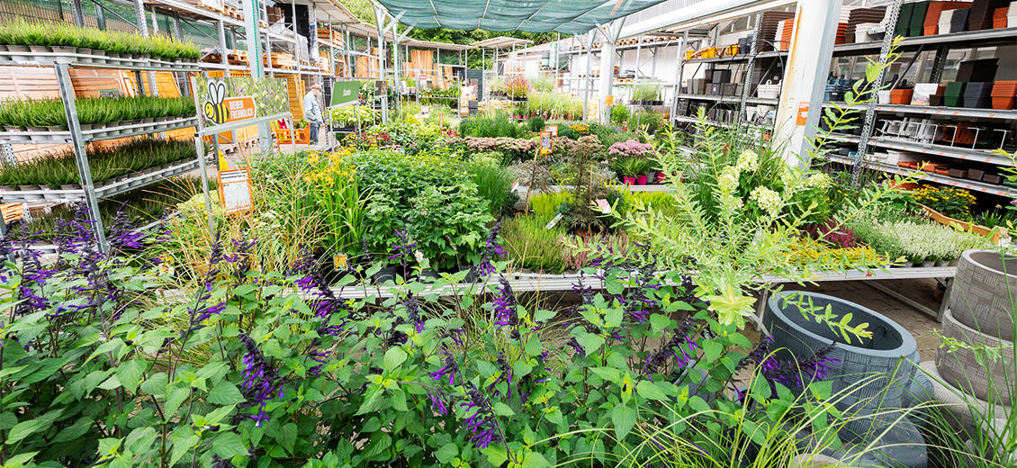 OBI Gartencenter Pommelsbrunn