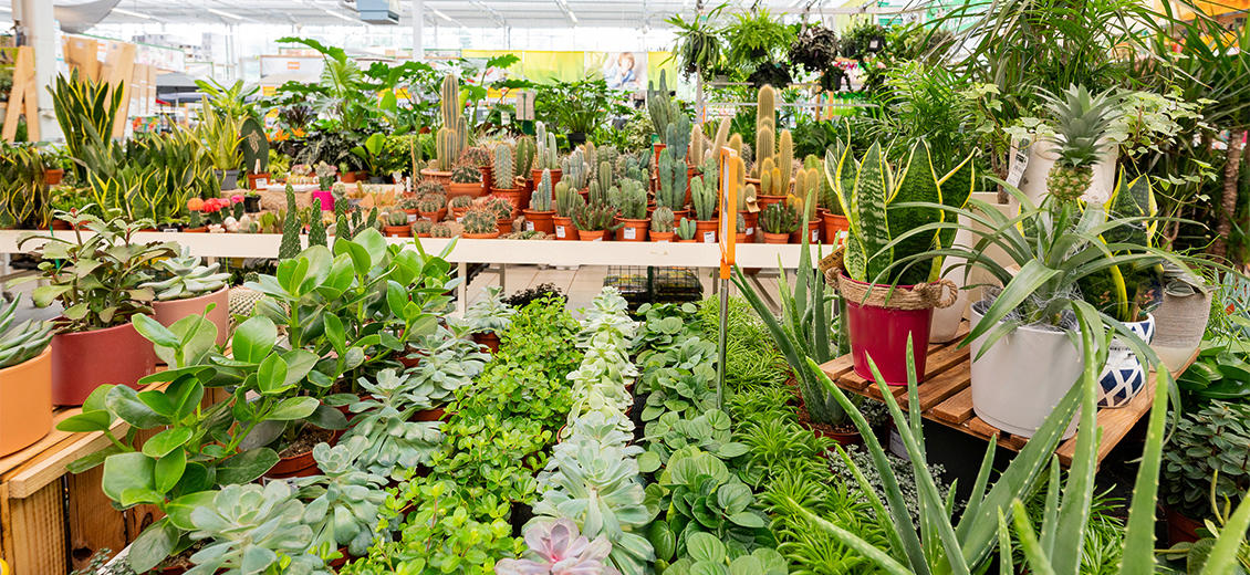 OBI Gartencenter Fürth