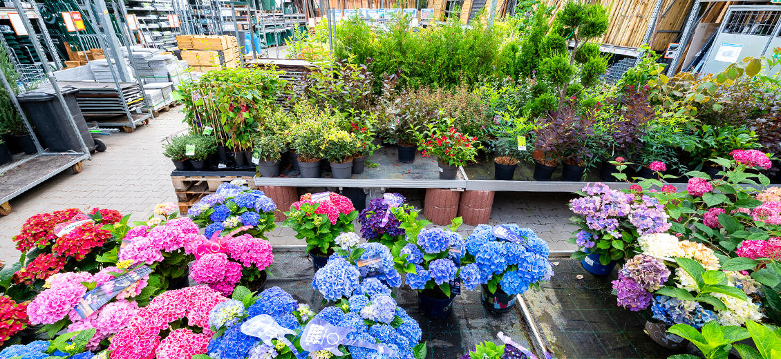 OBI Gartencenter Neustadt-Aisch