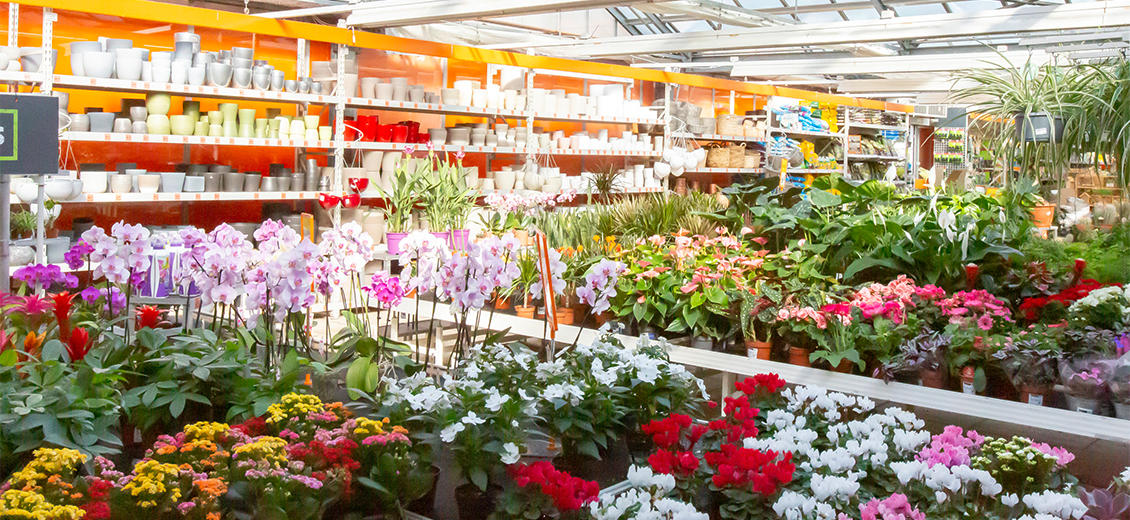 OBI Gartencenter Oldenburg Ammerländer Heerstraße