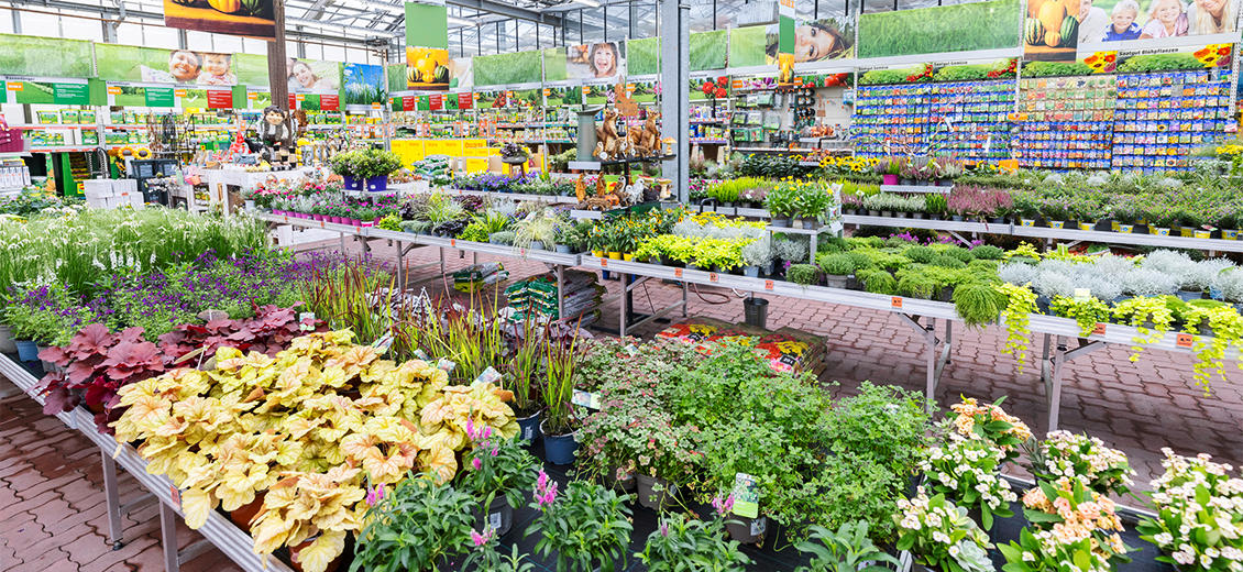 OBI Gartencenter Alfter