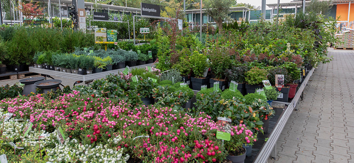 OBI Gartencenter Hückelhoven