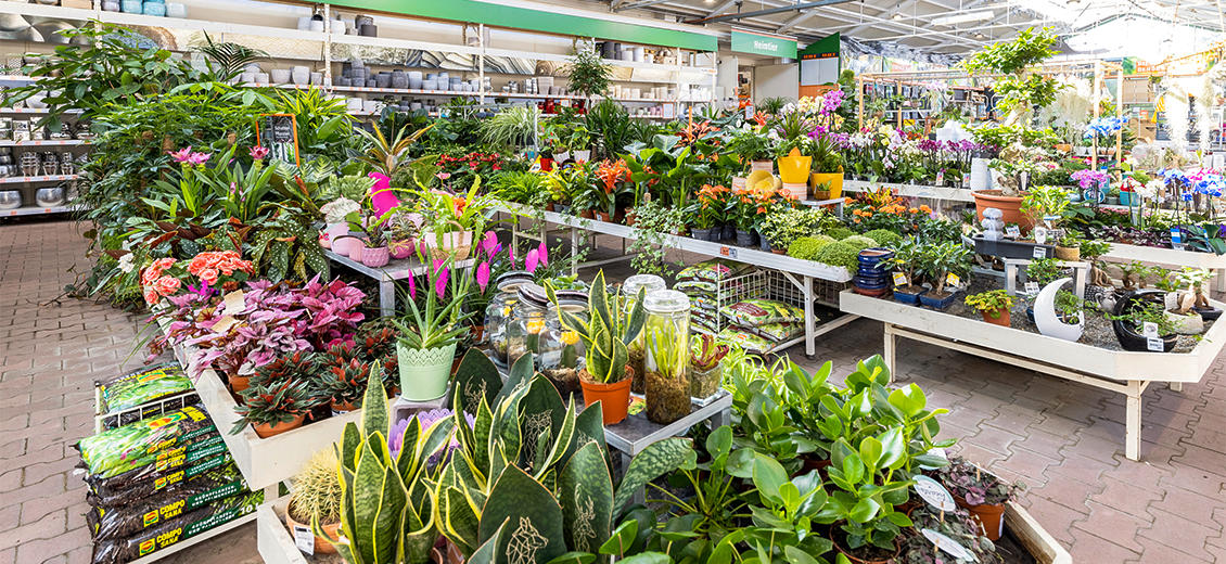 OBI Gartencenter Mayen