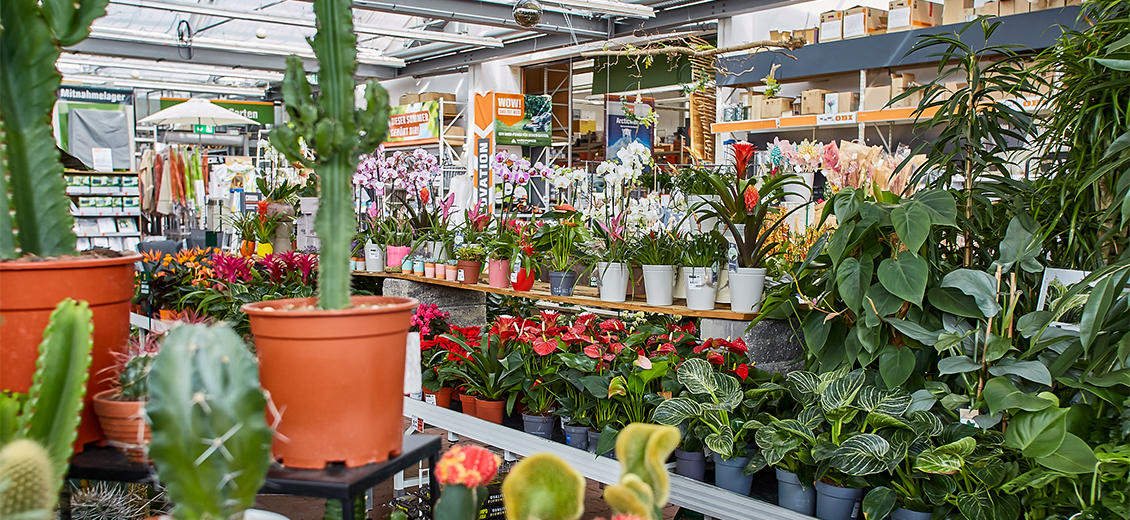 OBI Gartencenter Pocking