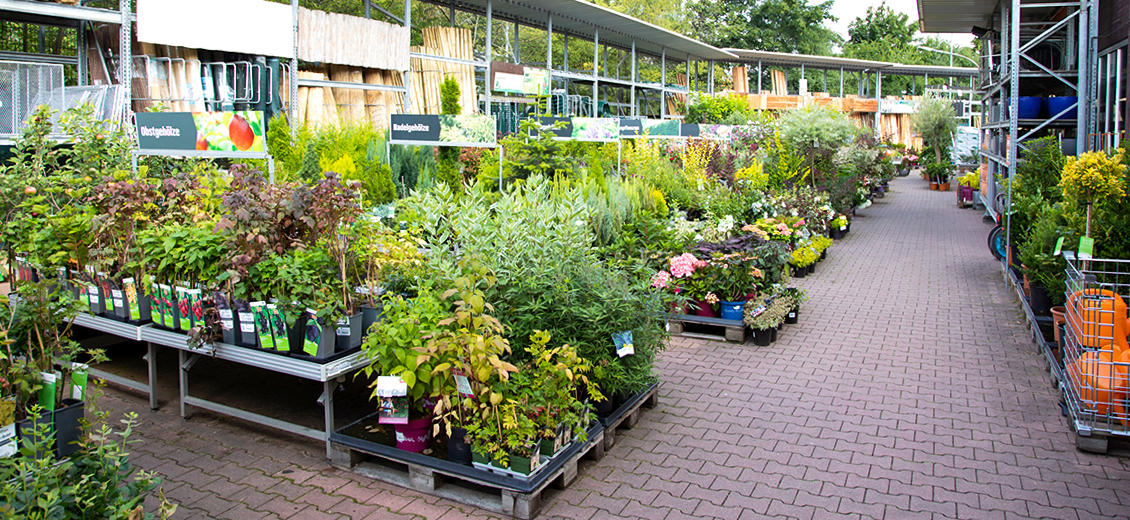 OBI Gartencenter Kamenz