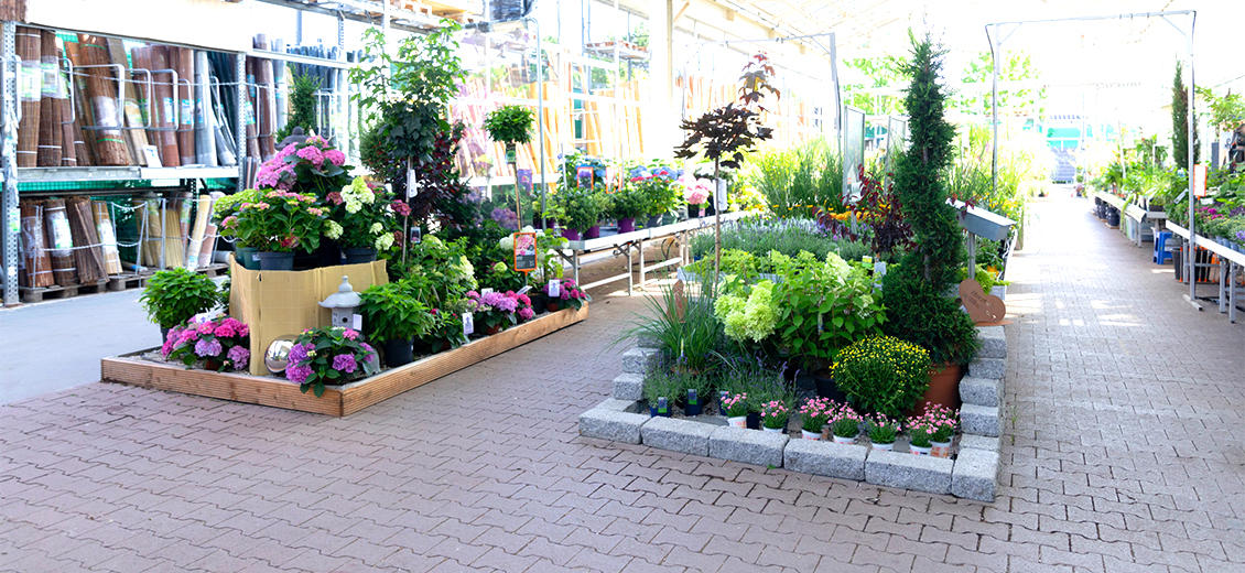 OBI Gartencenter Idstein
