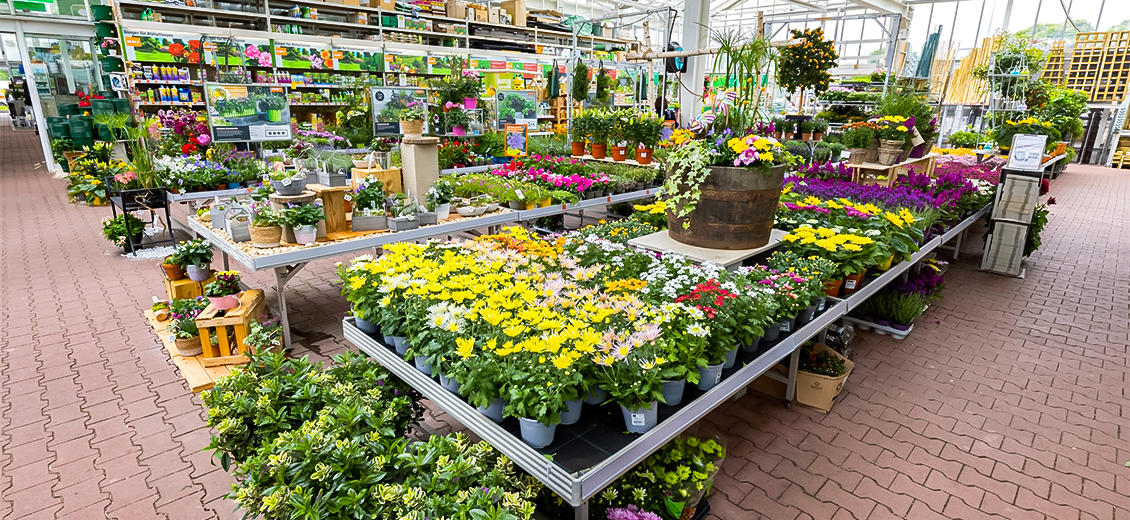 OBI Gartencenter Montabaur