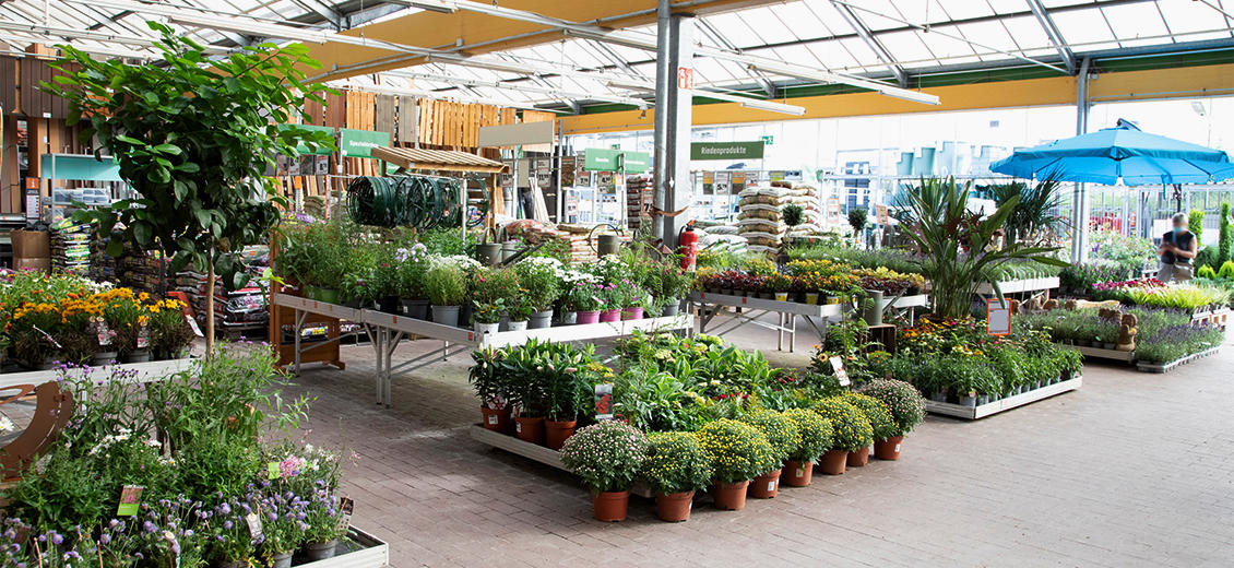 OBI Gartencenter Sangerhausen