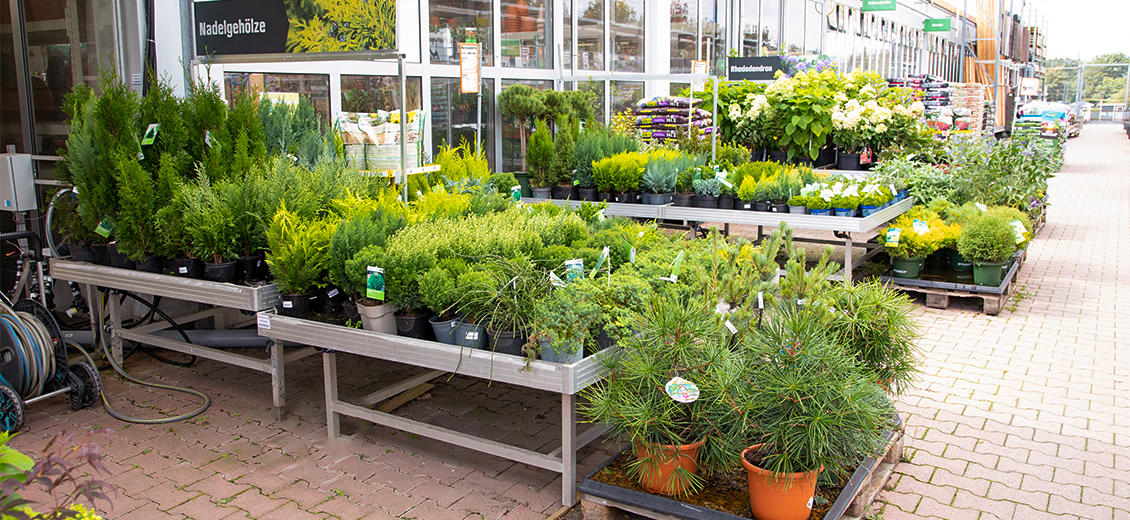 OBI Gartencenter Bannewitz bei Dresden