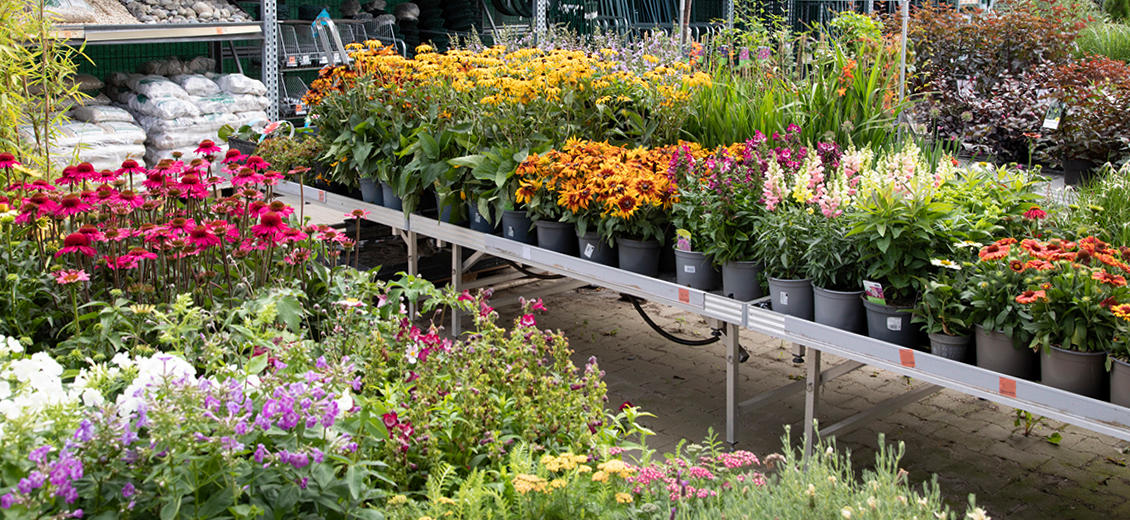 OBI Gartencenter Finowfurt