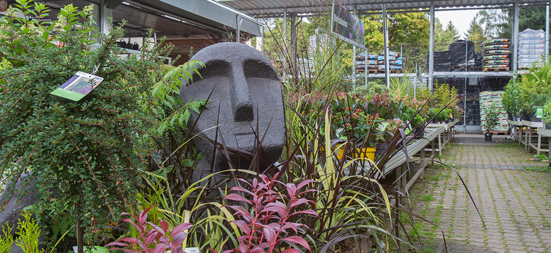 OBI Gartencenter Osterode-Harz