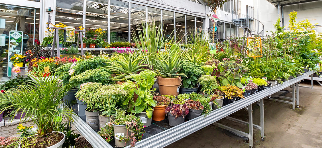 OBI Gartencenter Köln-Dellbrück