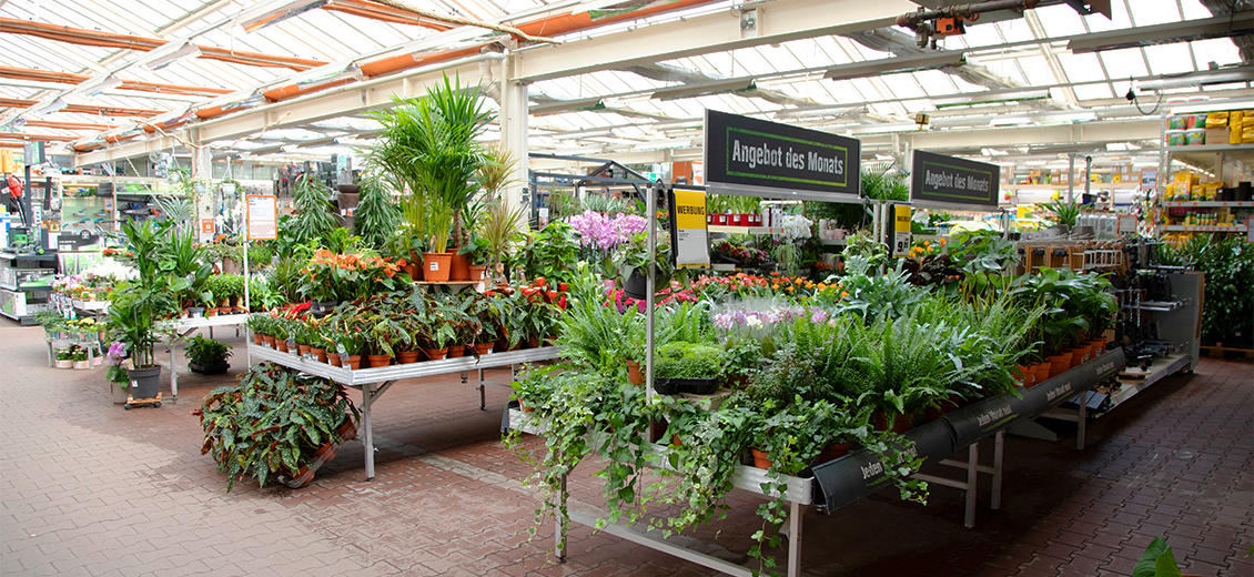 OBI Gartencenter Meißen