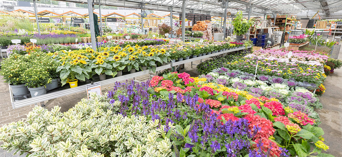 OBI Gartencenter Aachen Roermonder Straße