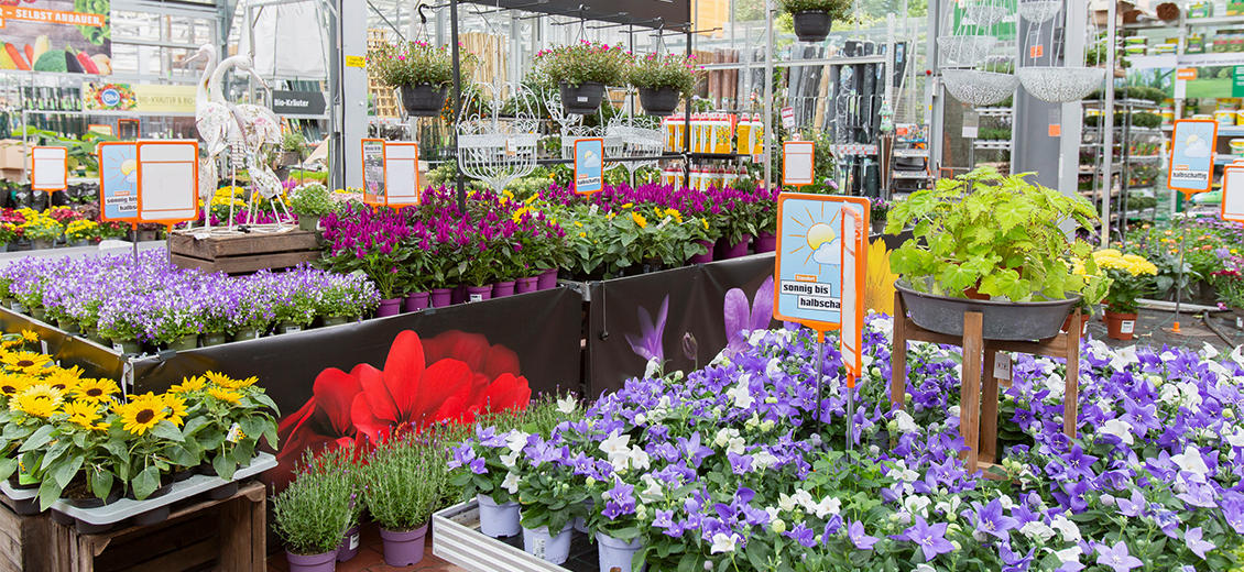 OBI Gartencenter Hamburg-Eppendorf