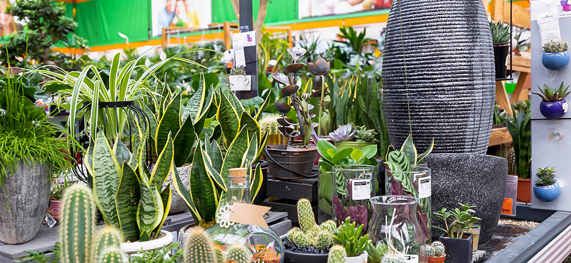 OBI Gartencenter Freiburg Süd