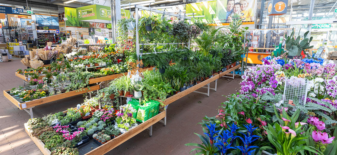 OBI Gartencenter Fohnsdorf