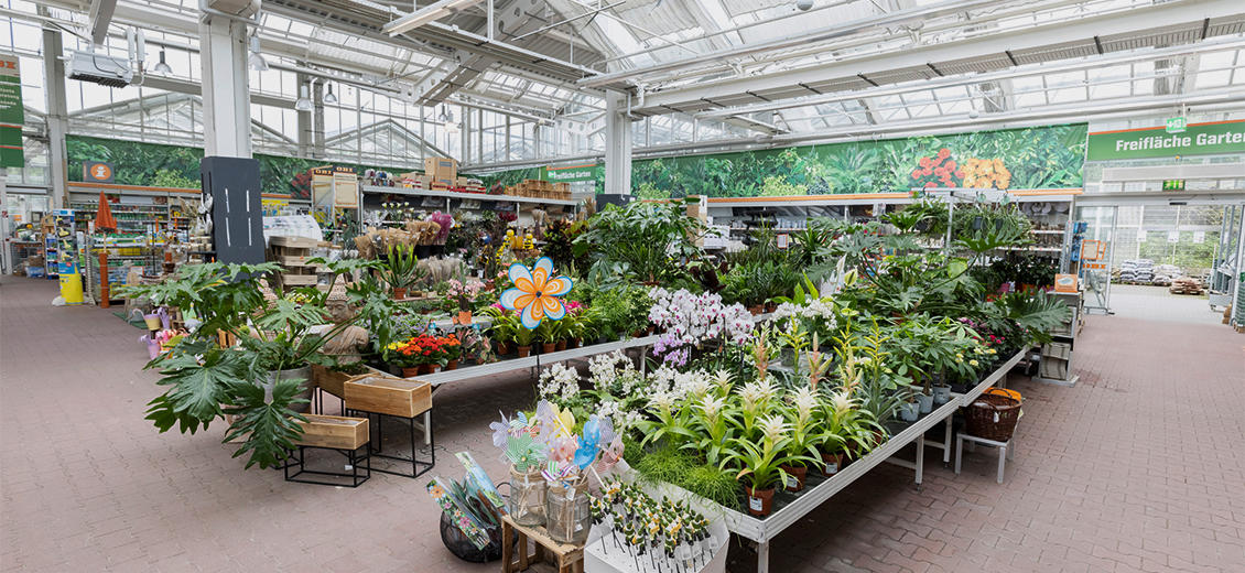 OBI Gartencenter Vechta