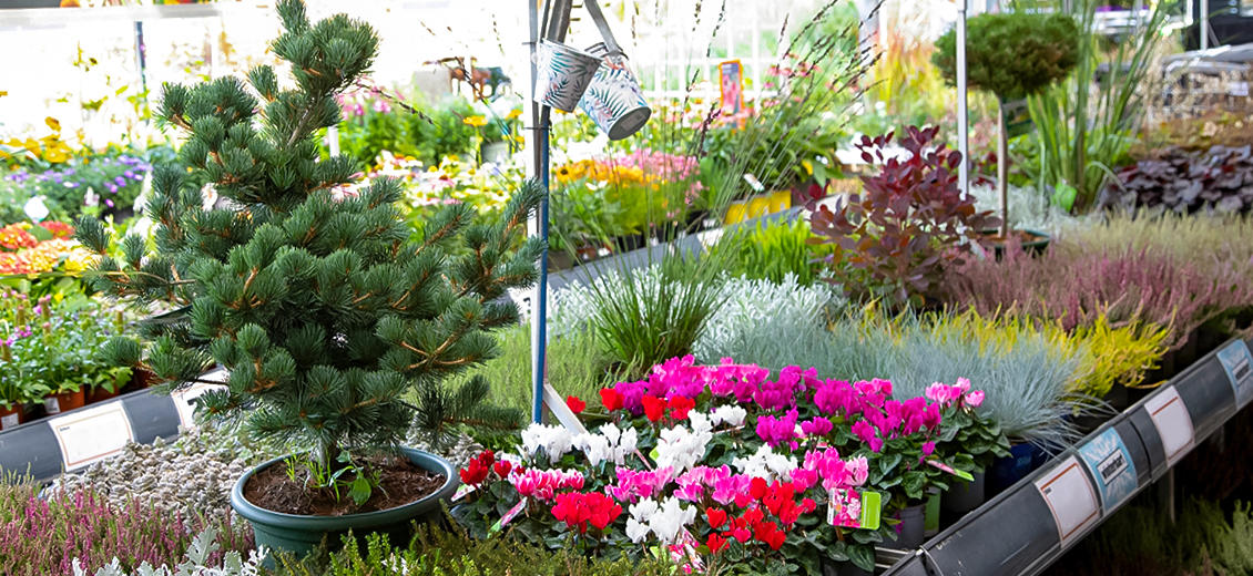 OBI Gartencenter Neustrelitz