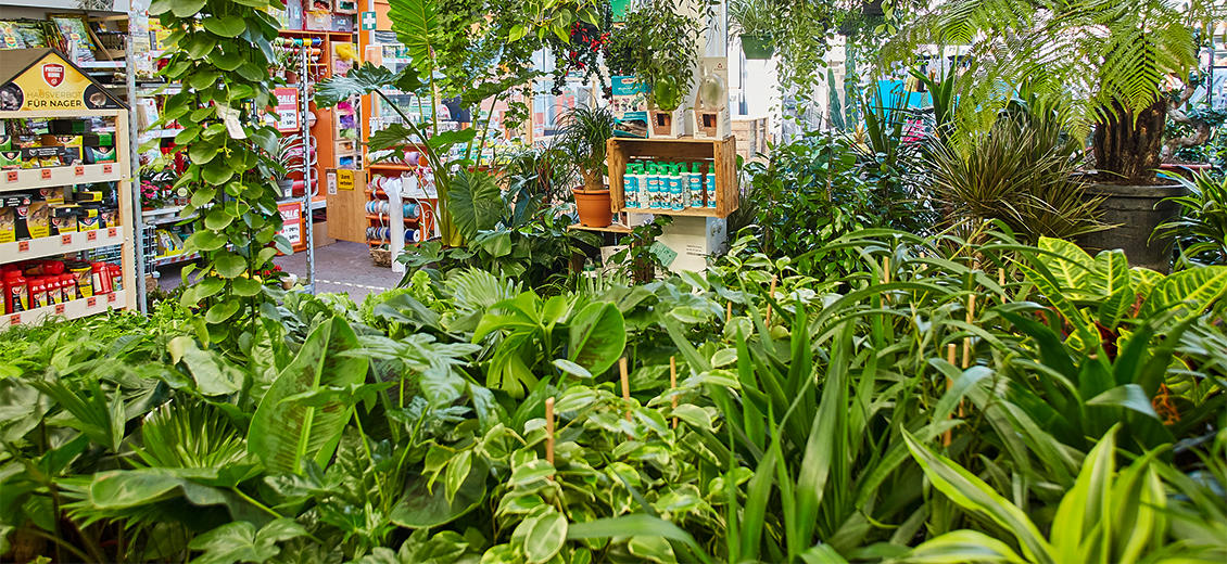 OBI Gartencenter Ansbach