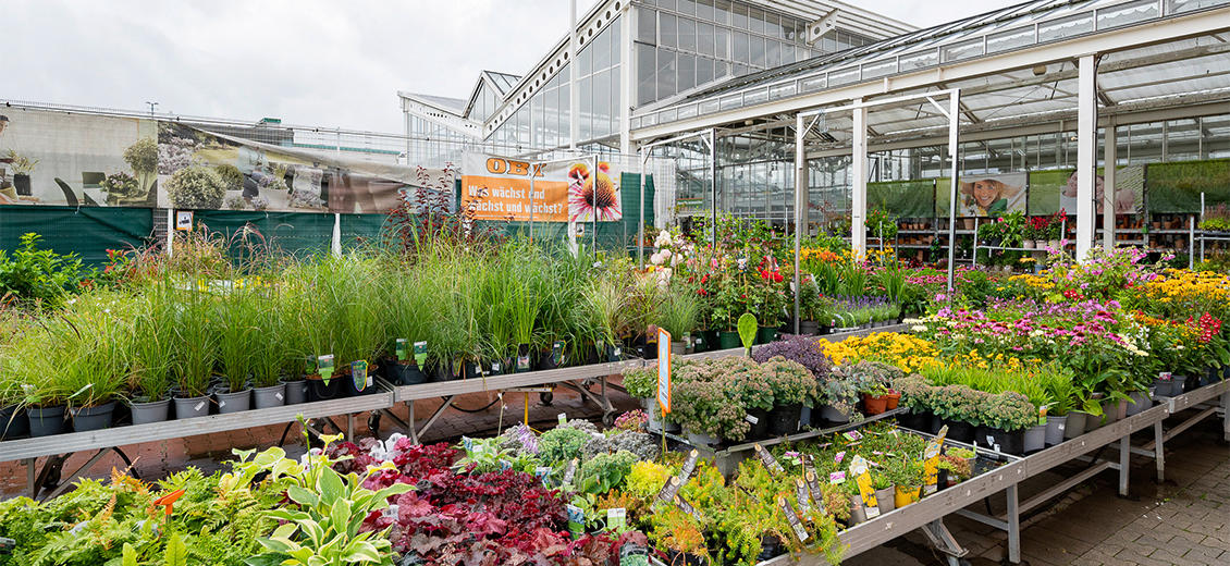OBI Gartencenter Bamberg