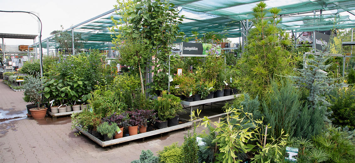 OBI Gartencenter Neuruppin