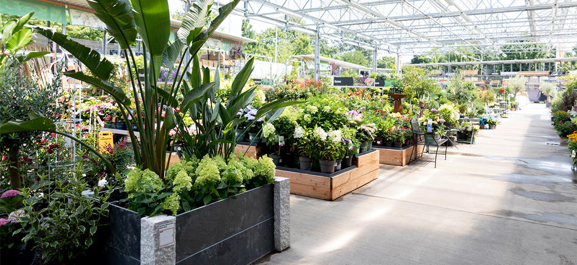 OBI Gartencenter Bensheim