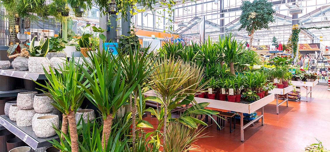 OBI Gartencenter Köln-Marsdorf