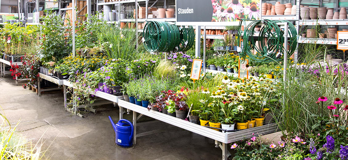 OBI Gartencenter Dresden Seidnitz