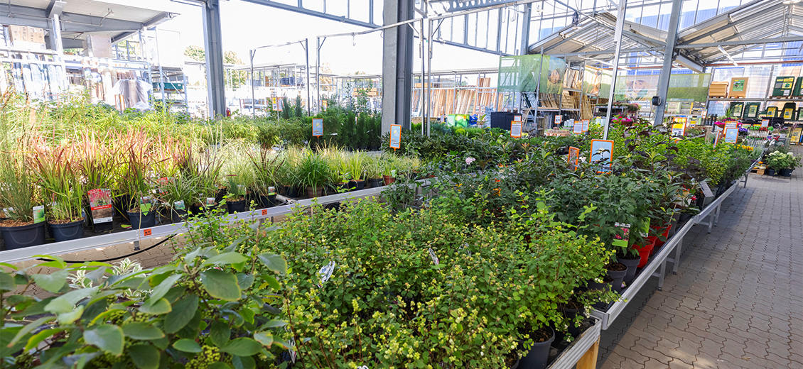 OBI Gartencenter Graz West