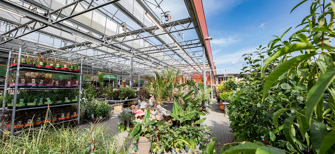 OBI Gartencenter Köln-Pesch