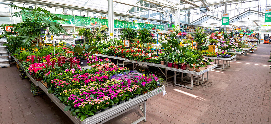 OBI Gartencenter Sinzheim