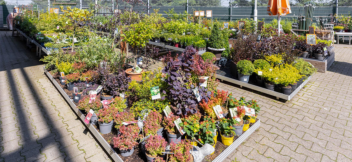 OBI Gartencenter Lüdenscheid