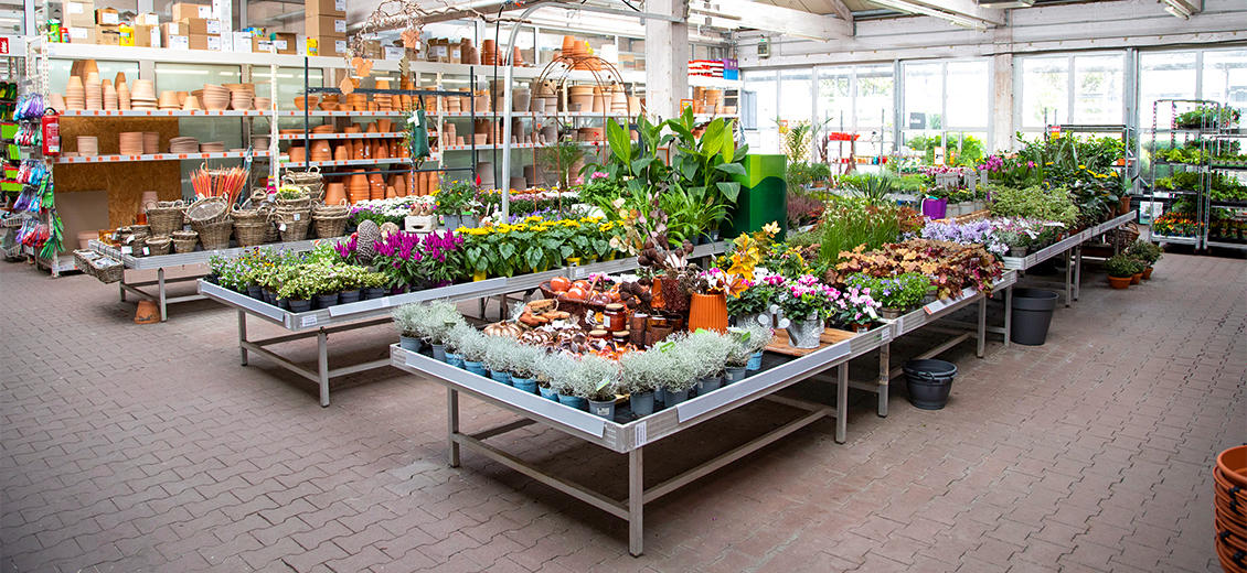 OBI Gartencenter Bannewitz bei Dresden