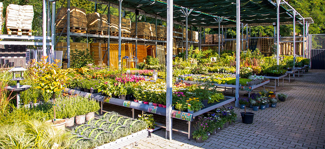 OBI Gartencenter Niesky