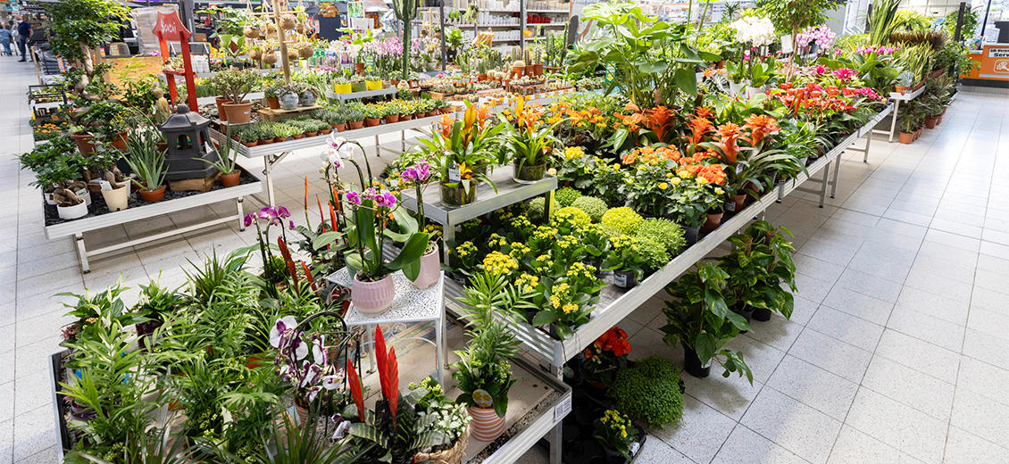 OBI Gartencenter Rheinbach