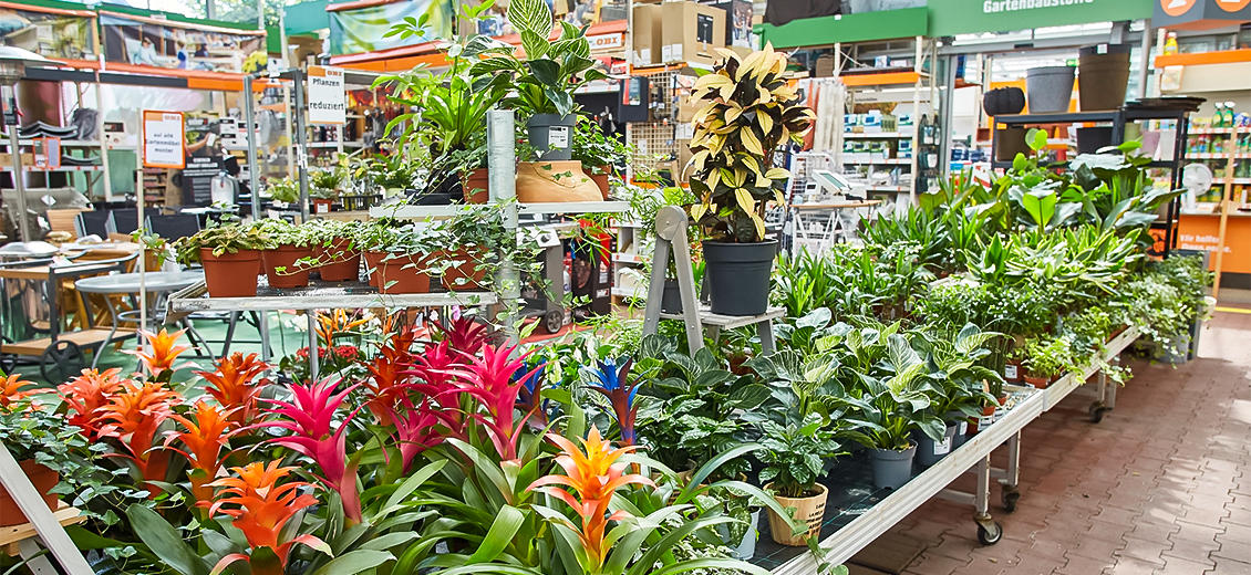 OBI Gartencenter Zwiesel