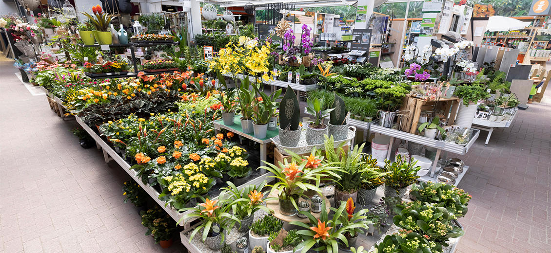 OBI Gartencenter Borken