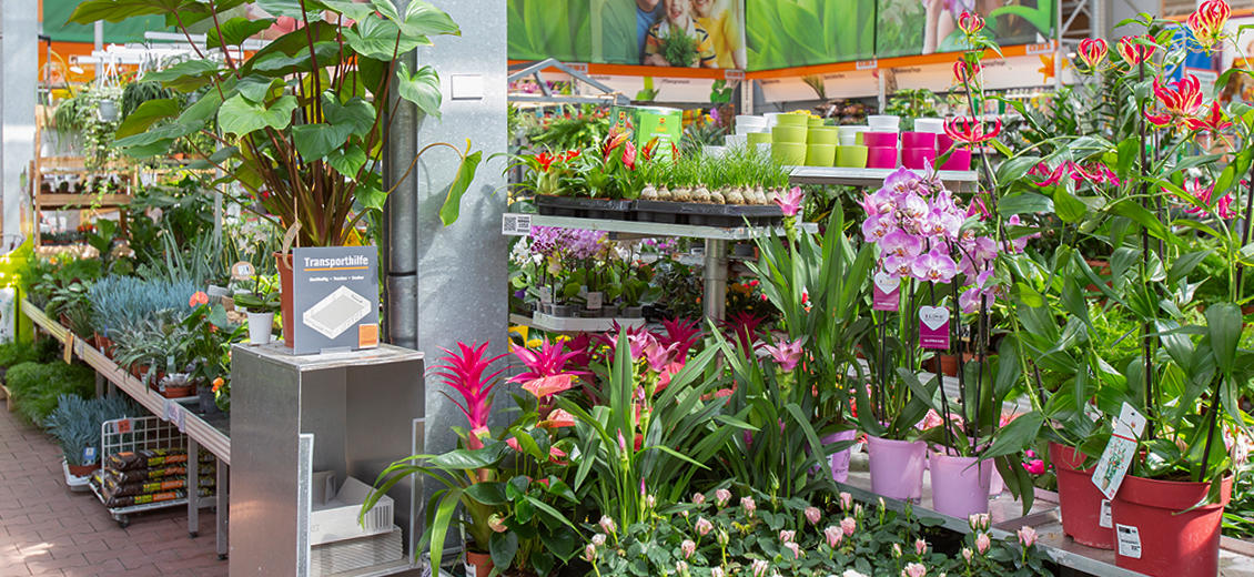 OBI Gartencenter Lehrte