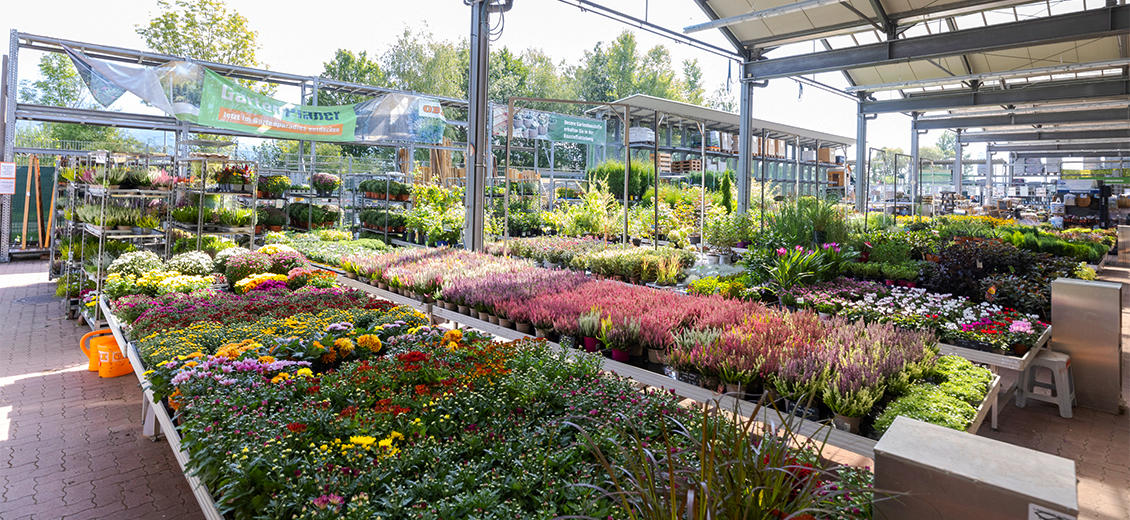 OBI Gartencenter Wolfsberg