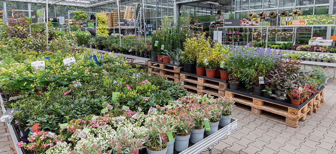 OBI Gartencenter Herzogenrath