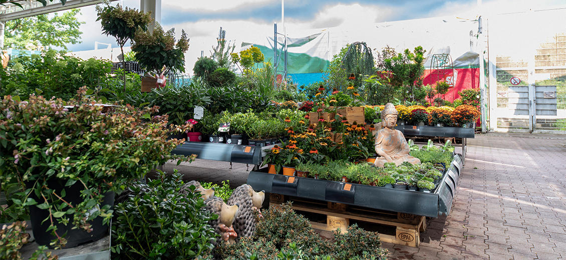 OBI Gartencenter Friedrichshafen