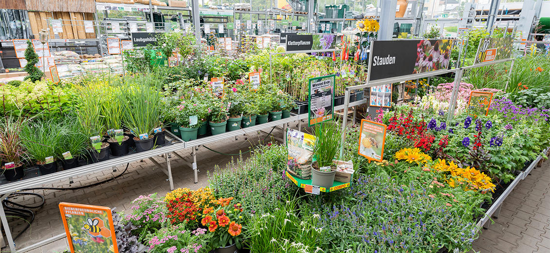 OBI Gartencenter Weiden