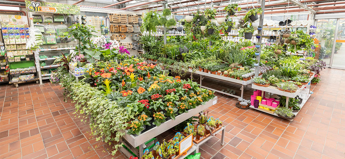 OBI Gartencenter Aachen Roermonder Straße