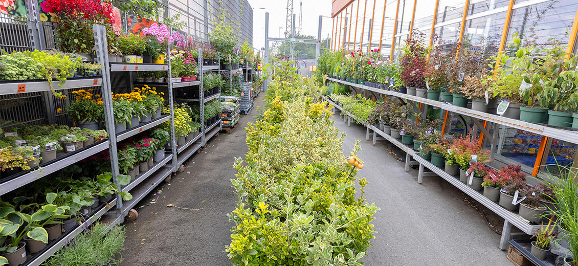 OBI Gartencenter Oelde