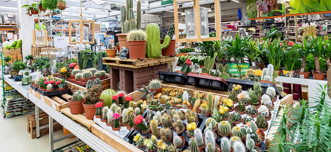 OBI Gartencenter Köln-Dellbrück