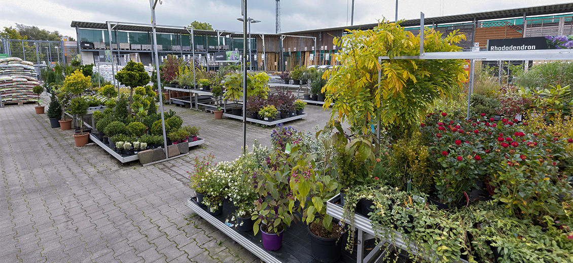 OBI Gartencenter Jever