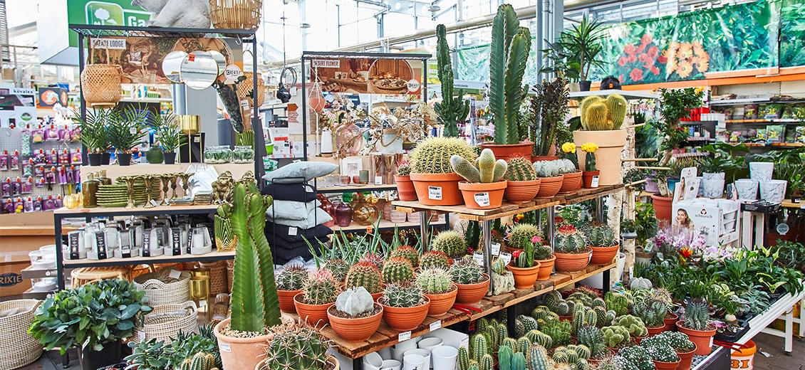 OBI Gartencenter Stadtbergen