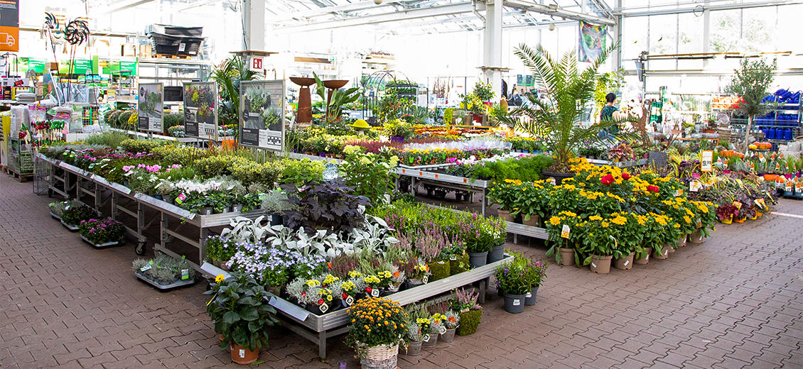 OBI Gartencenter Dresden Weißig